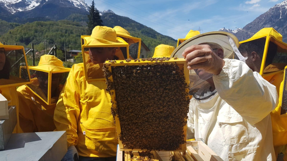 Nasce in Ossola l’apiario sociale: apicoltura condivisa (anche per principianti)